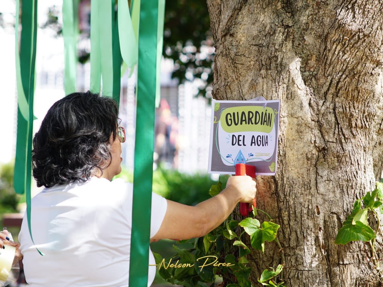 Feria del Agua 2026